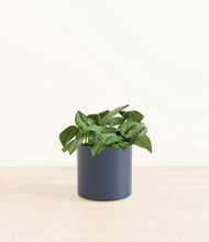 Load image into Gallery viewer, Deep Navy*****Profile