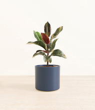Load image into Gallery viewer, Deep Navy*****Profile