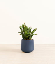 Load image into Gallery viewer, Deep Navy*****Profile