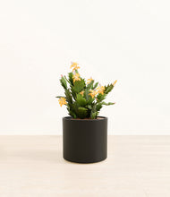 Load image into Gallery viewer, -Black*****Profile