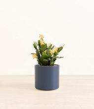 Load image into Gallery viewer, -Deep Navy*****Profile