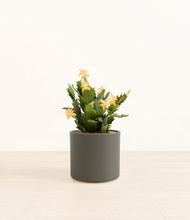 Load image into Gallery viewer, -Dark Olive*****Profile