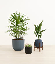 Load image into Gallery viewer, Charcoal*****Profile