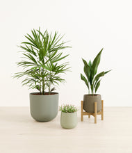 Load image into Gallery viewer, Earthy*****Profile