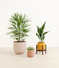 Load image into Gallery viewer, Evening Sky*****Profile