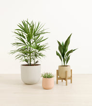 Load image into Gallery viewer, Sandy*****Profile