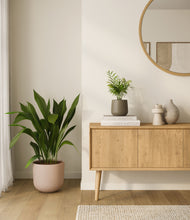 Load image into Gallery viewer, Olive Branch