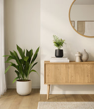 Load image into Gallery viewer, Orca