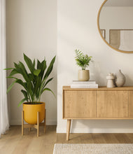 Load image into Gallery viewer, Tiger Lily stand:one_stand