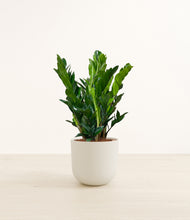 Load image into Gallery viewer, Natural Bamboo*****Profile