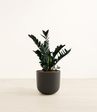 Load image into Gallery viewer, Stone Black*****Profile