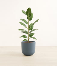 Load image into Gallery viewer, Iron Gray*****Profile