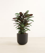 Load image into Gallery viewer, Stone Black*****Profile