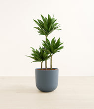 Load image into Gallery viewer, Iron Gray*****Profile