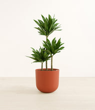 Load image into Gallery viewer, Earth Red*****Profile