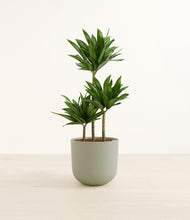 Load image into Gallery viewer, Sage Green*****Profile