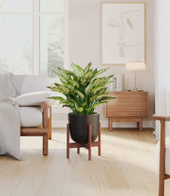 Load image into Gallery viewer, Stone Black stand:walnut