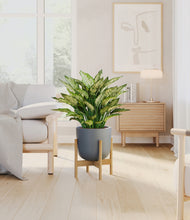 Load image into Gallery viewer, Iron Gray stand:bamboo