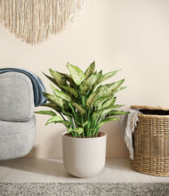 Load image into Gallery viewer, Natural Bamboo