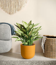 Load image into Gallery viewer, Sunset Orange