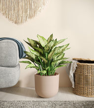 Load image into Gallery viewer, Sandy Pink