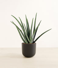 Load image into Gallery viewer, Stone Black*****Profile