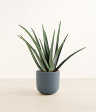 Load image into Gallery viewer, Iron Gray*****Profile