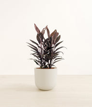 Load image into Gallery viewer, Natural Bamboo*****Profile