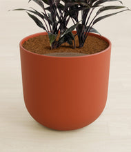 Load image into Gallery viewer, Earth Red stand:all