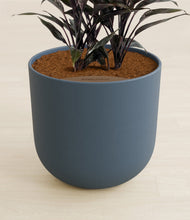 Load image into Gallery viewer, Iron Gray stand:all