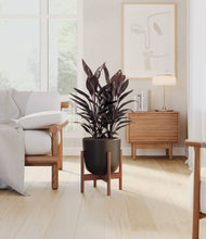 Load image into Gallery viewer, Stone Black stand:walnut
