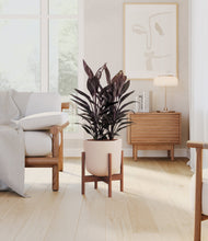 Load image into Gallery viewer, Sandy Pink stand:walnut