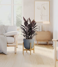 Load image into Gallery viewer, Iron Gray stand:bamboo