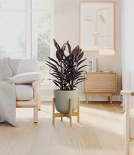Load image into Gallery viewer, Sage Green stand:bamboo
