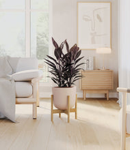 Load image into Gallery viewer, Sandy Pink stand:bamboo