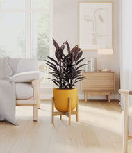 Load image into Gallery viewer, Sunset Orange stand:bamboo