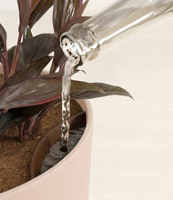 Load image into Gallery viewer, Sandy Pink stand:all