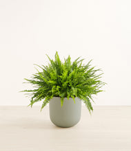 Load image into Gallery viewer, Sage Green*****Profile