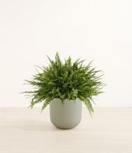 Load image into Gallery viewer, Sage Green*****Profile
