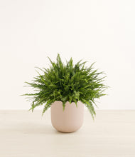 Load image into Gallery viewer, Sandy Pink*****Profile