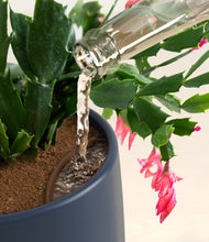 Load image into Gallery viewer, Deep Navy stand:all