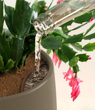 Load image into Gallery viewer, Olive stand:all