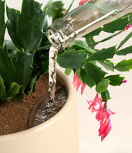 Load image into Gallery viewer, Almond Green stand:all