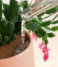 Load image into Gallery viewer, Calm Rose stand:all