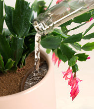 Load image into Gallery viewer, Gentle Pink stand:all