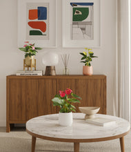 Load image into Gallery viewer, Sandy stand:one_stand