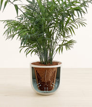 Load image into Gallery viewer, Natural Bamboo stand:all