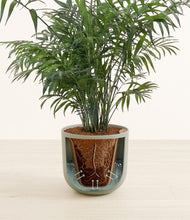 Load image into Gallery viewer, Sage Green stand:all