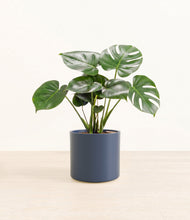 Load image into Gallery viewer, Deep Navy*****Profile