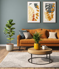 Load image into Gallery viewer, Tiger Lily